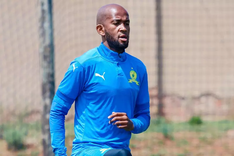 موسى ليبوسا مدافع صنداونز